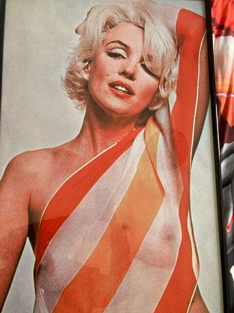 photo de Marilyn Monroe 0 Castres (81)
