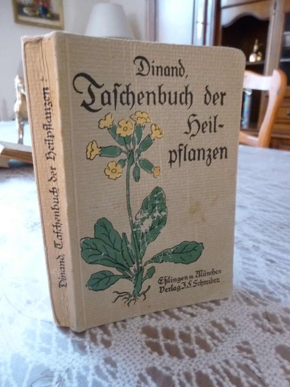 LIVRE SUR LES PLANTES MEDICINALES . PAR U. DINAND . 1933 Livres et BD