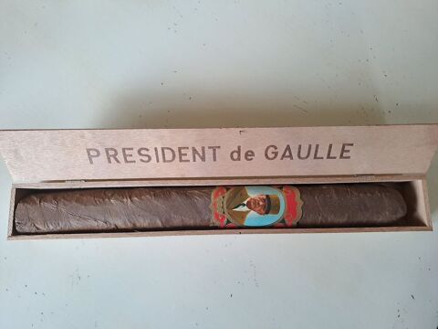 Cigare PRESIDENT DE GAULLE de 315 mm de long 30 Touvre (16)