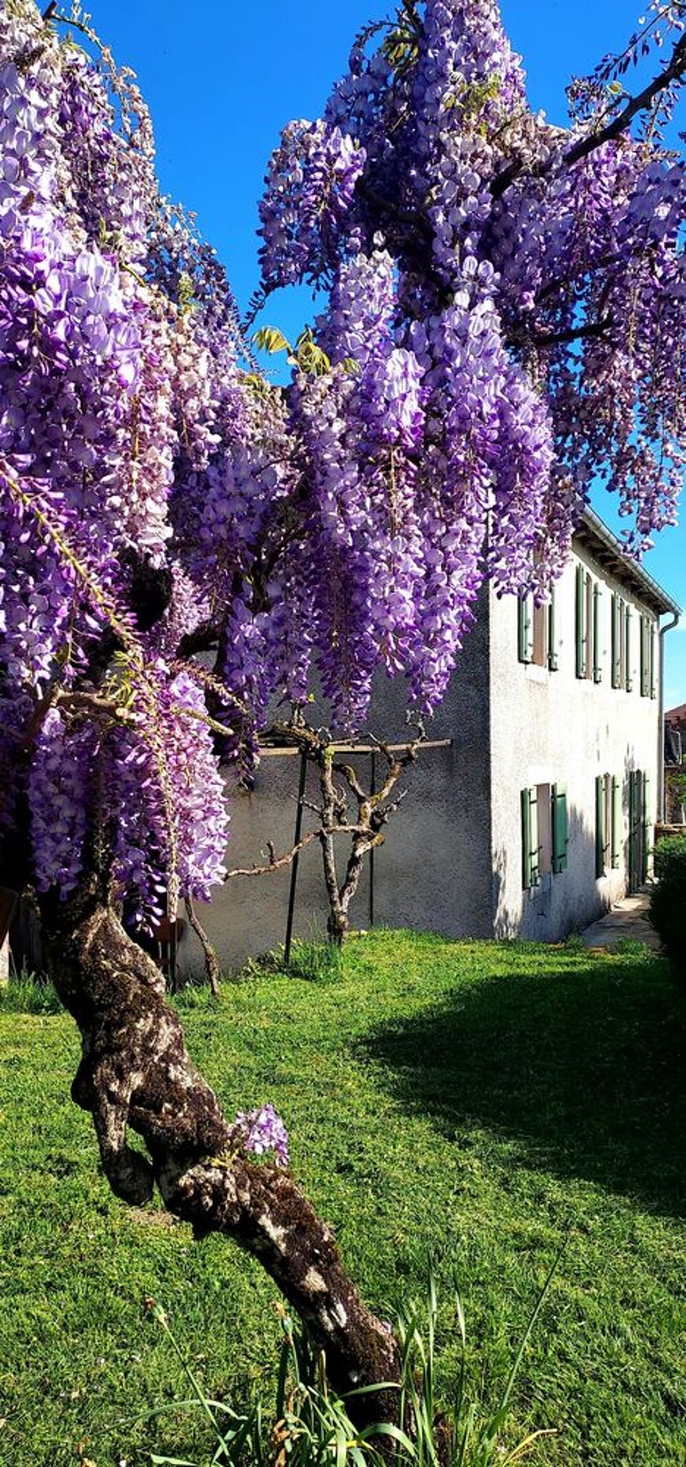 Vente Maison Maison de caractère de 206 m² -Tarn, secteur Carmaux Pampelonne