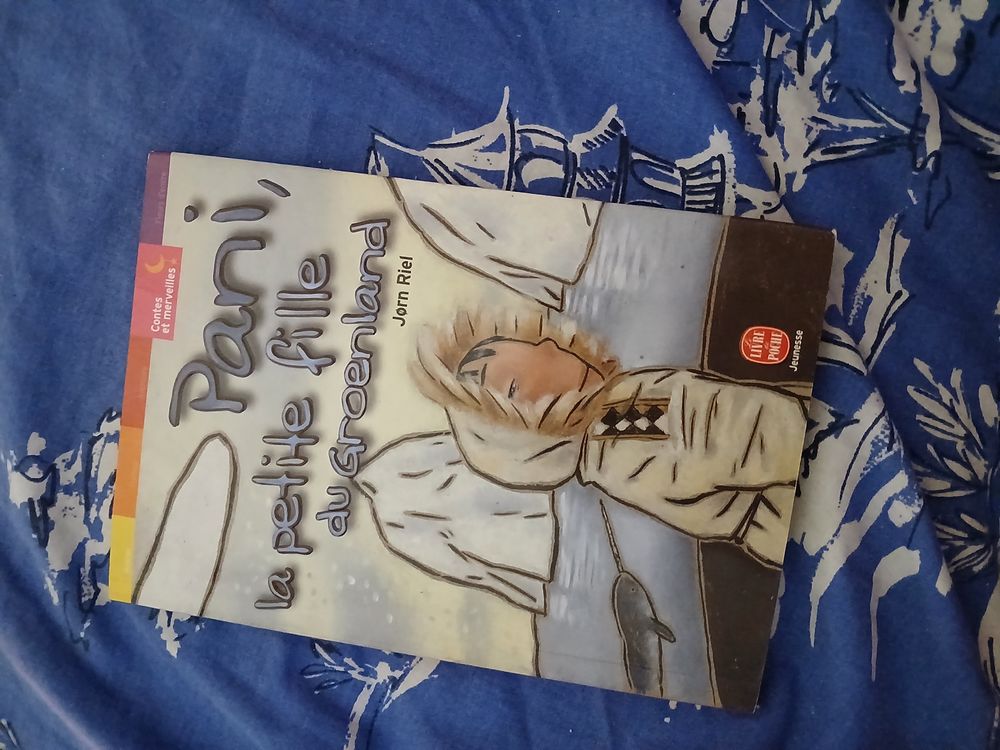 LIVRE PANI LA PETITE FILLE DU GROENLAND Livres et BD