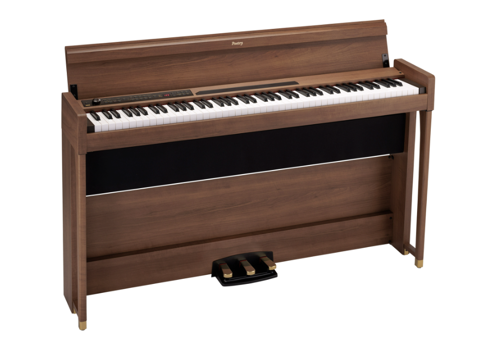 Korg Poetry, un piano num�rique presque neuf 1450 Paris 3 (75)