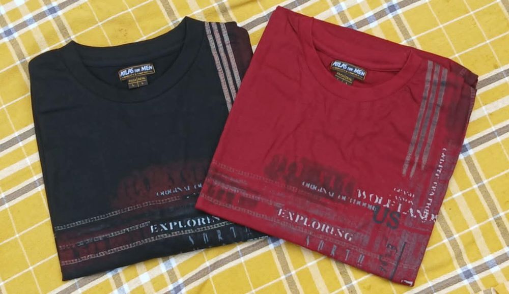 Lot de 2 Tee-shirts en Taille L pour Homme d'Atlas For Men Vêtements