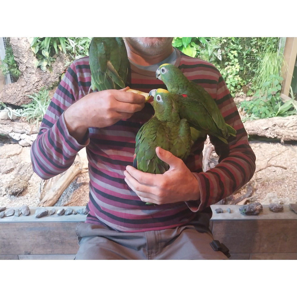   Amazone  front jaune sympa eam 2024 