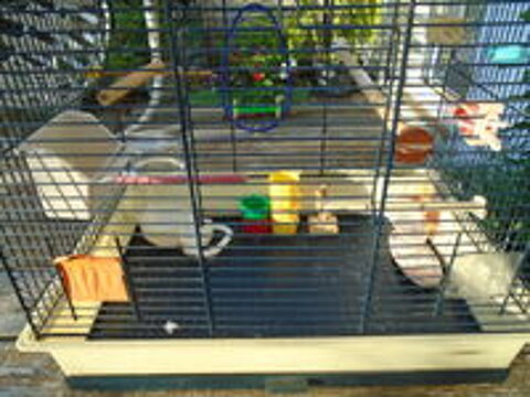   cage a oiseaux, avec tout dedans 