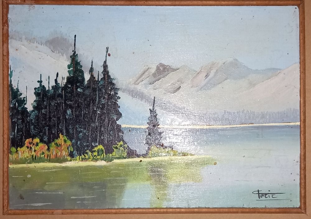 13 PEINTURES SUR BOIS
PAYSAGES MARINE ET NATURES MORTES Dcoration