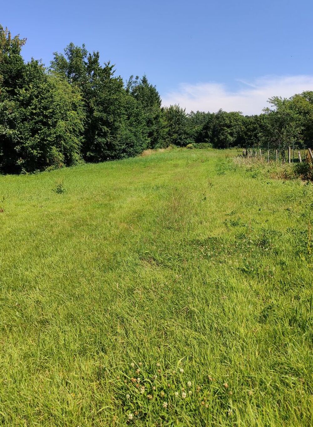 Vente Terrain DEUX MAGNIFIQUES PARCELLES Bernieulles