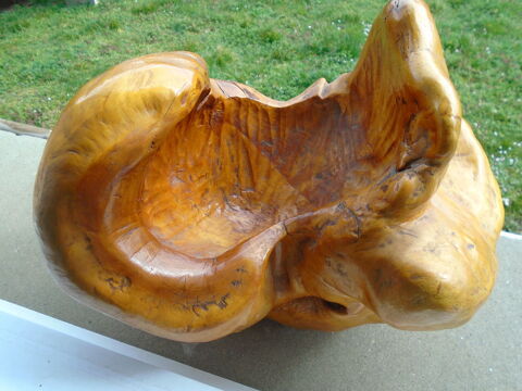 SCULTURE BOIS CHINOISE - GENRE CHAMPIGNON VIDE POCHE 270 Crissey (71)