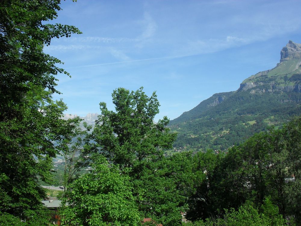 Vente Terrain terrain constructible Passy