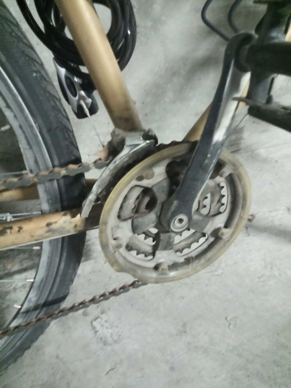 vtc Riverside 5.2 Vélos