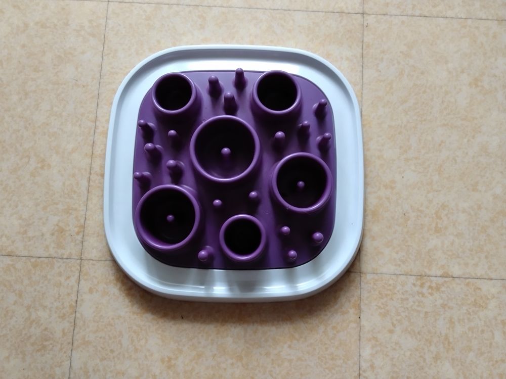   Gamelle anti glouton  