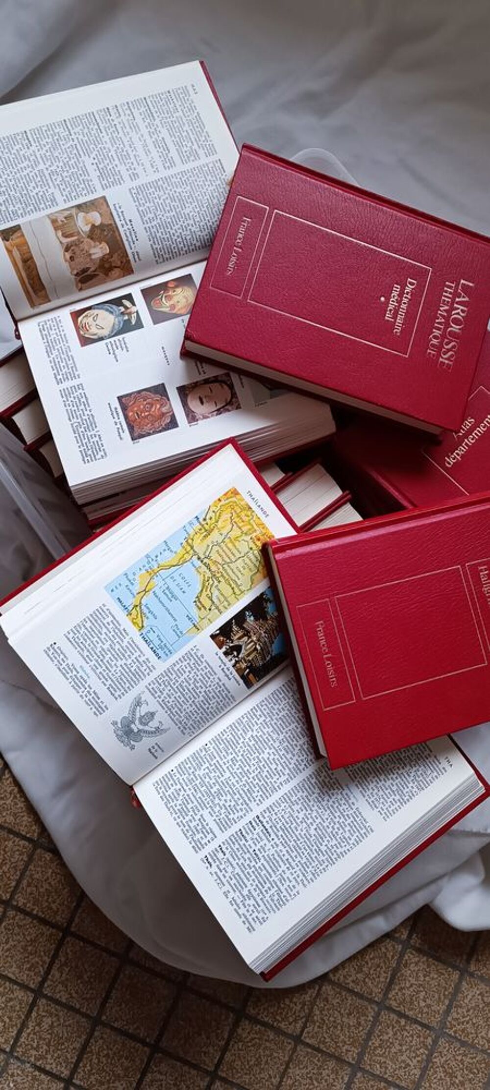 Dictionnaires Livres et BD