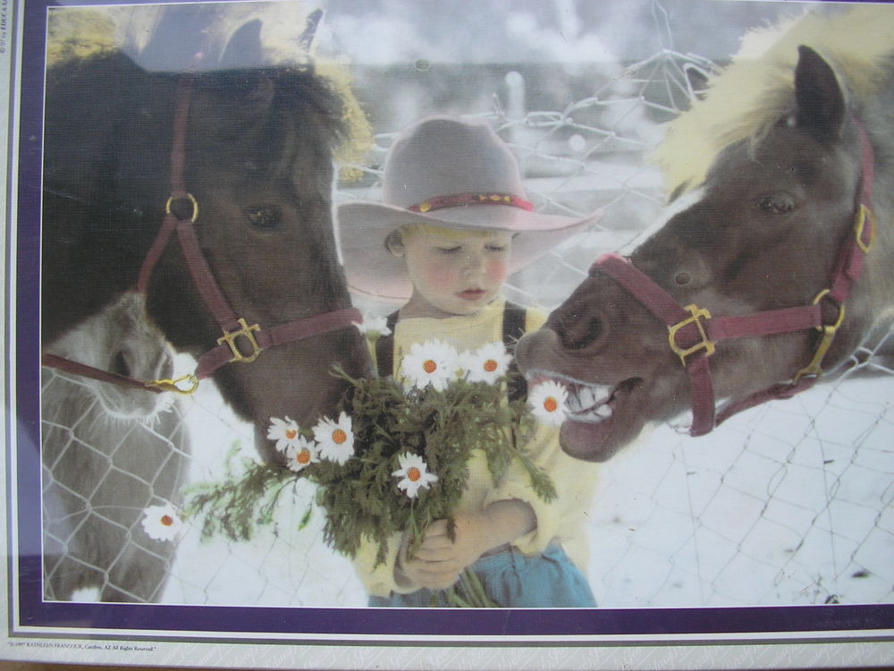 Puzzle chevaux Jeux / jouets