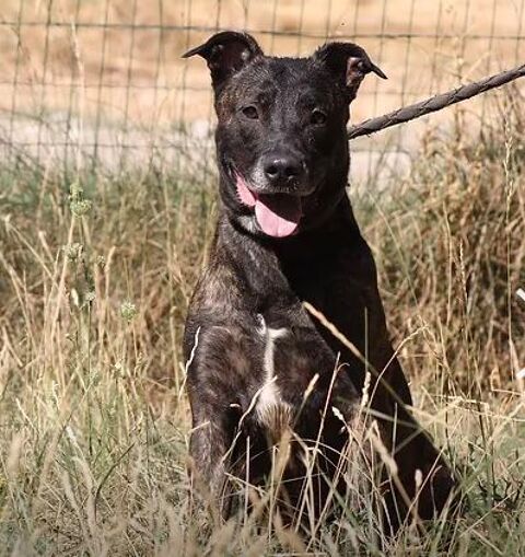 Cartel 26700 Pierrelatte