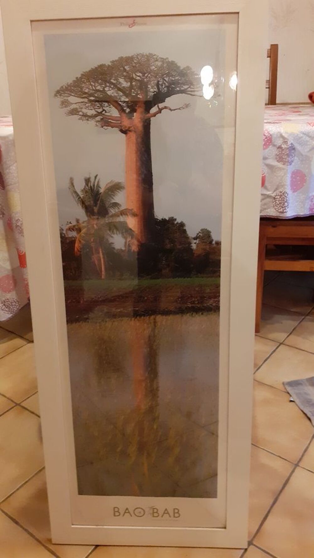 Tableau Baobab neuf Décoration
