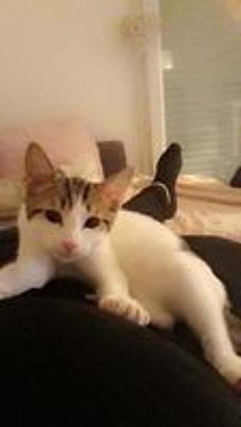   Opal  N� le 22 mars 2018 