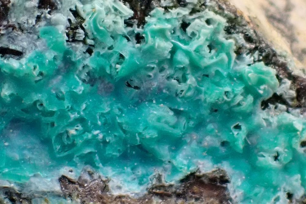 Chrysocolle Mine de Rio Marina Ile d'Elbe Italie 51gr 