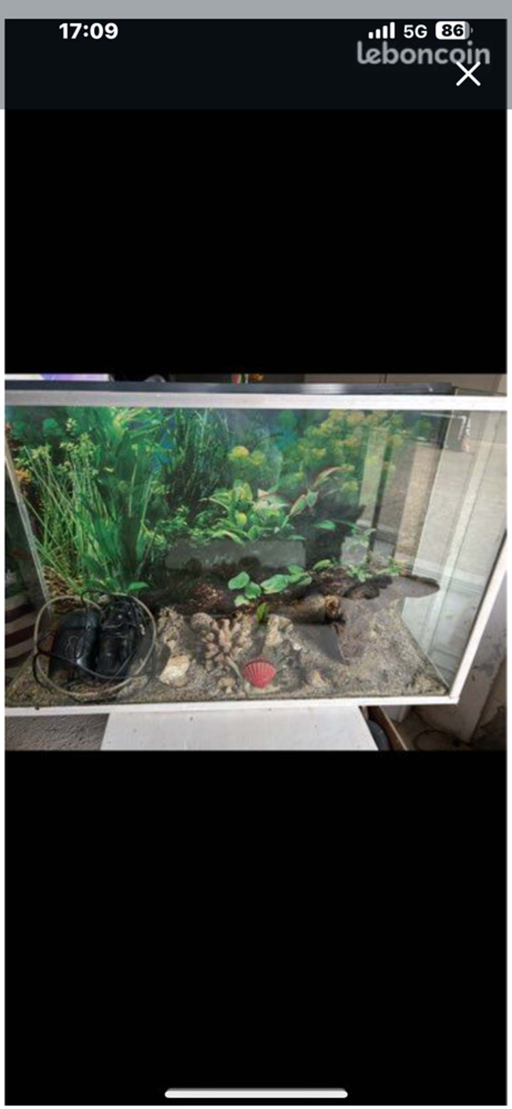 Aquarium Décoration