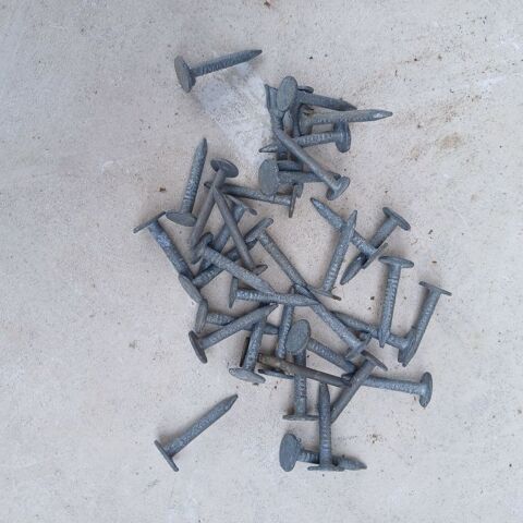 clous callotins 25 mm 7 Vendeuvre-du-Poitou (86)