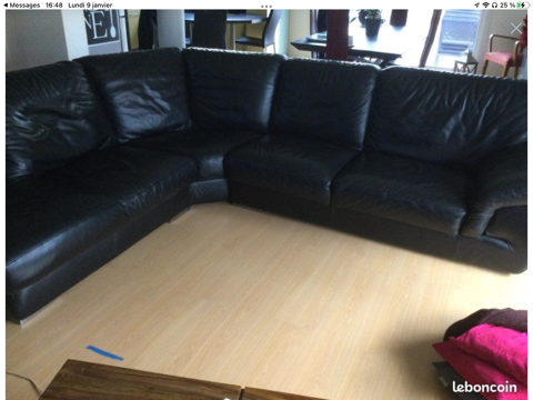 Canap cuir buffle 400 Orchamps-Vennes (25)