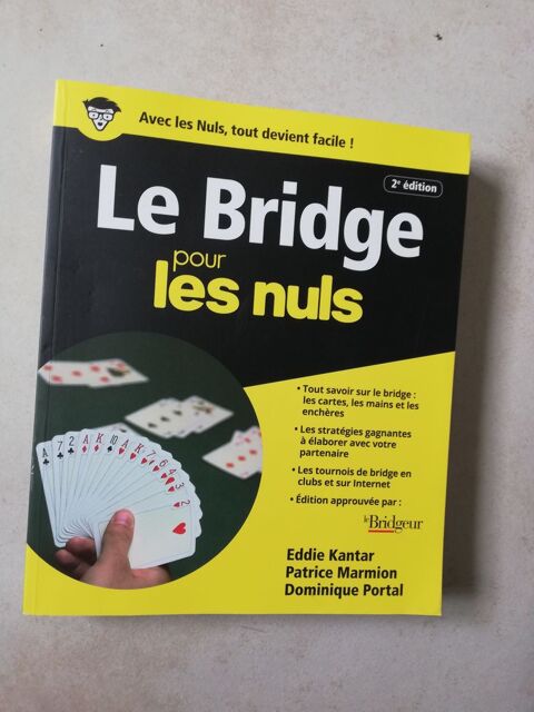 Bridge des nuls 5 Chteauroux (36)
