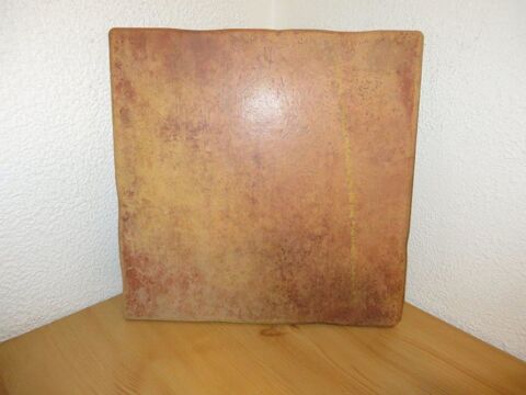 4 m2 de carreaux gr�s c�ram 20x20 50 Laire (25)