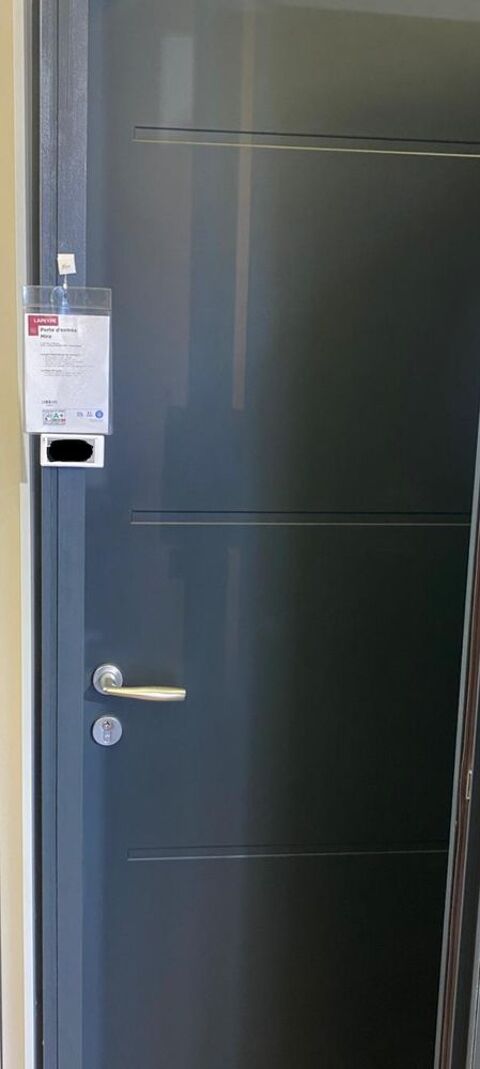 PORTE D'ENTREE LAPEYRE 1100 Argenteuil (95)