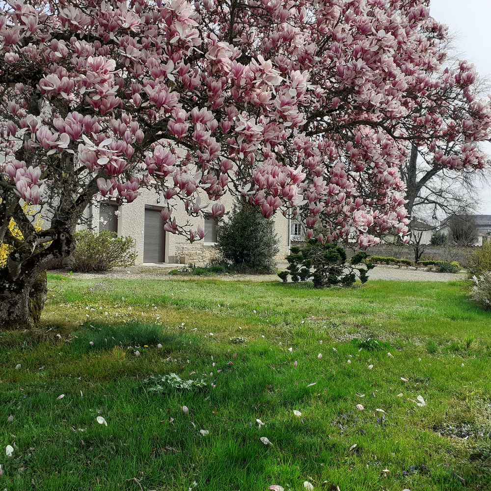 Vente Maison MAISON INDIVIDUELLE HORS LOTISSEMENT Cras-sur-reyssouze