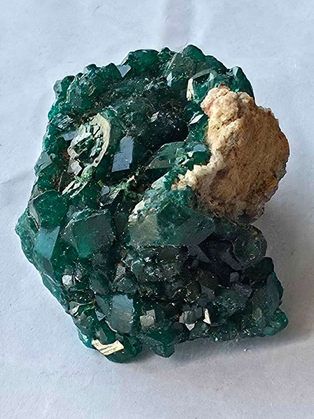 Min&eacute;ral de Collection : Dioptase Brute sur Matrice-Katanga (46g) 