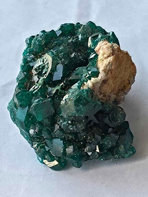 Minéral de Collection : Dioptase Brute sur Matrice-Katanga (46g) 95 Bagneux (92)