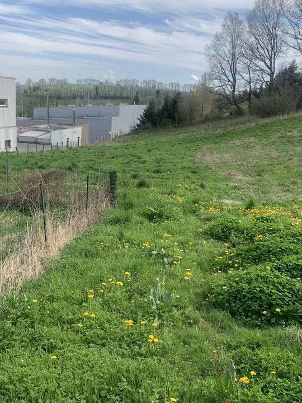 Vente Terrain Terrain - 3000m ² Alban