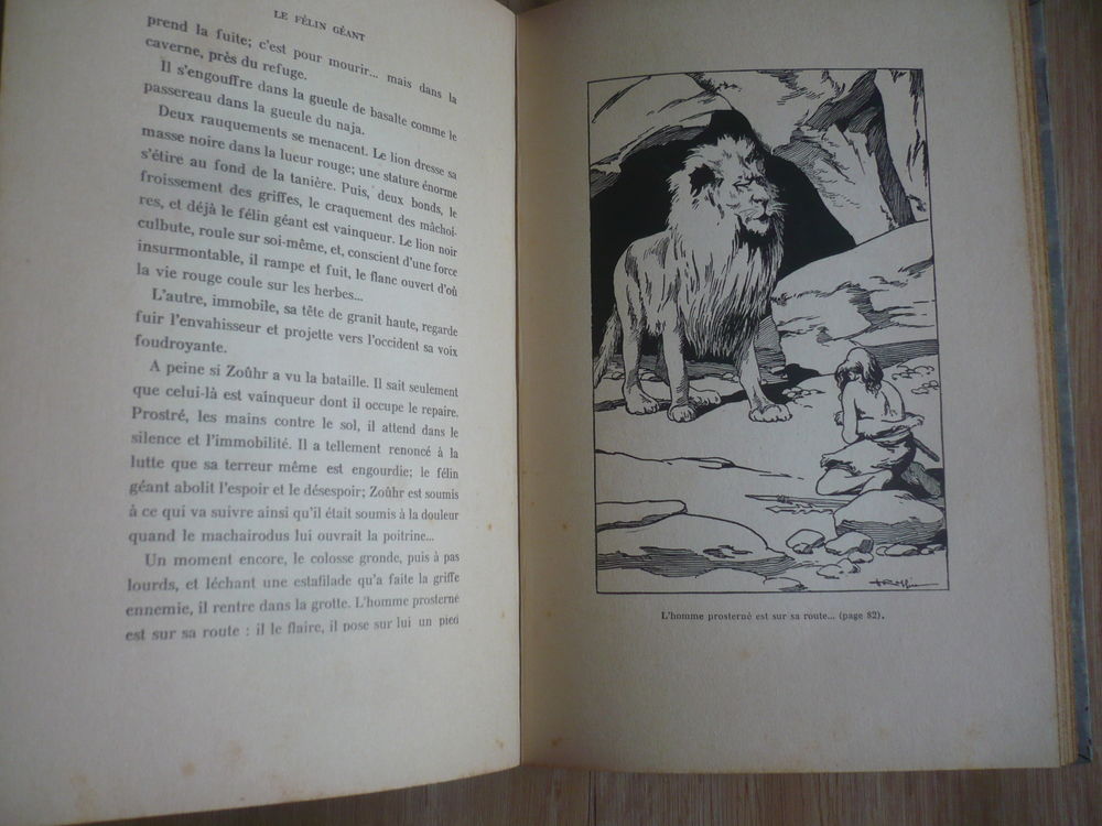 LE F&Eacute;LIN G&Eacute;ANT de J.-H. ROSNY (1938) Livres et BD