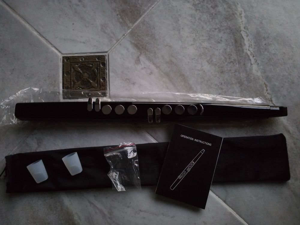 flute electronique chinoise type aerophone etat neuf Audio et hifi