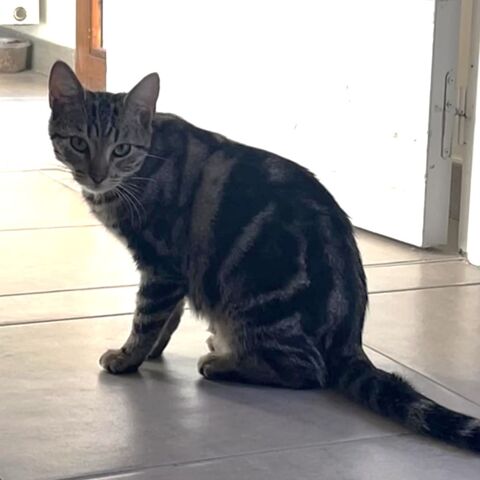 EYE LINER 180 26300 Bourg-de-p�age