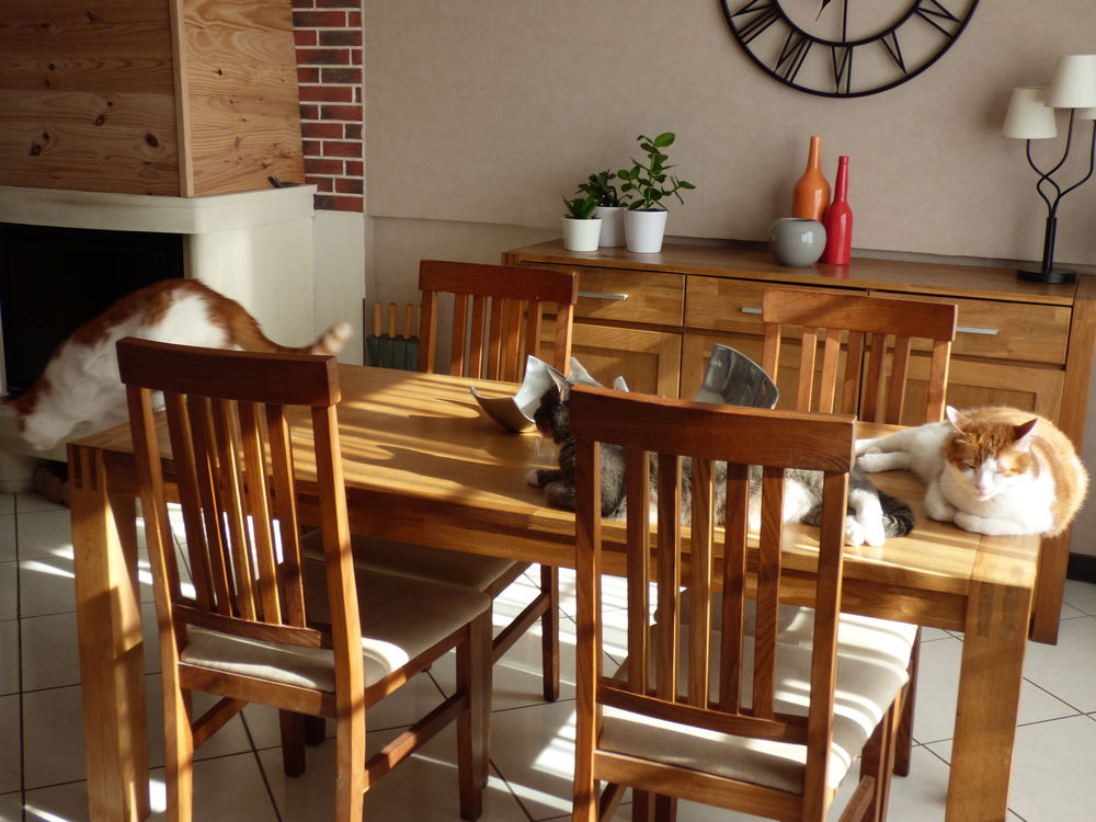 table de salle &agrave; manger et meuble tv Meubles