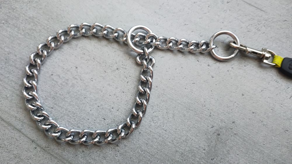 Collier Cha&icirc;ne en M&eacute;tal pour Chien en Acier Inoxydable 2-en1 Sports
