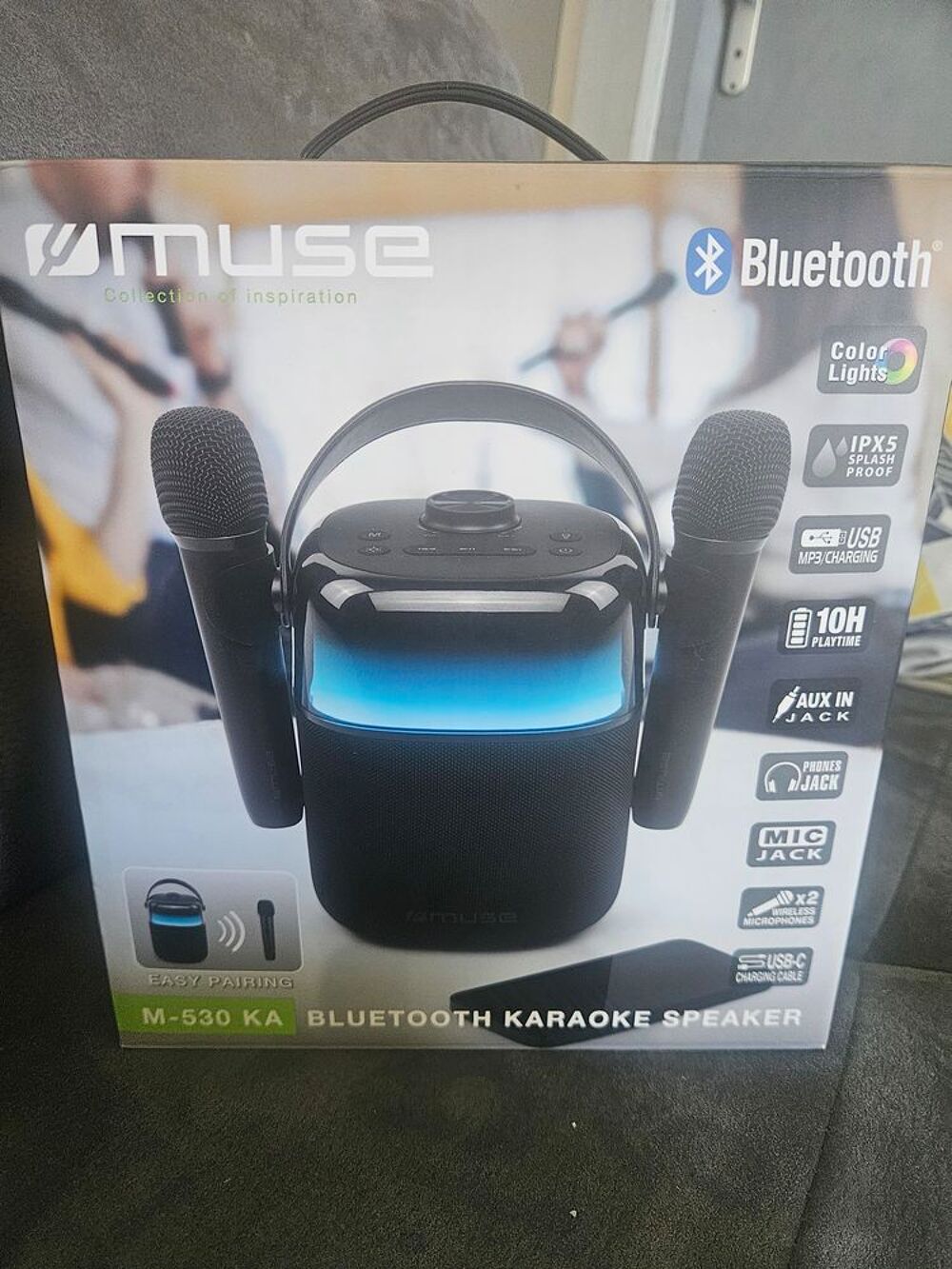 Karaoke avec 2 Micro Audio et hifi