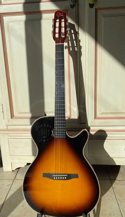 Godin Multiac steel duet 950 Frjus (83)