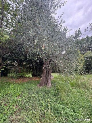  Terrain � vendre 1043 m� Al�s