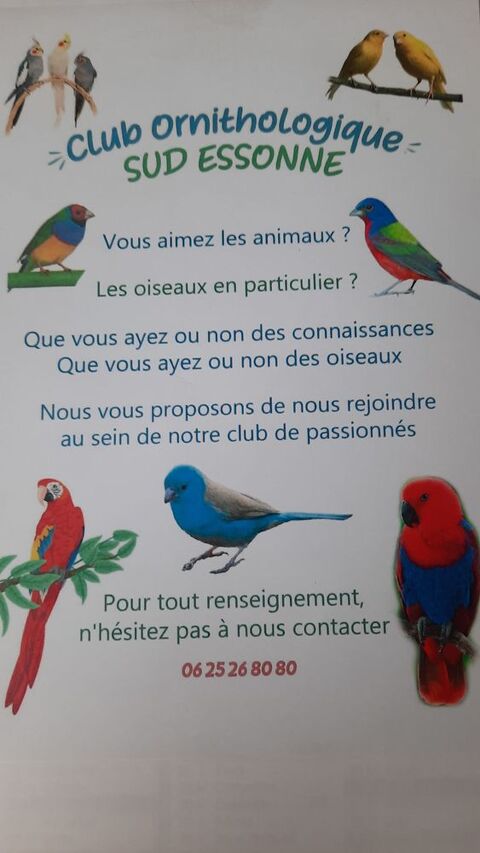 Exposition d'oiseaux 0 91580 trchy