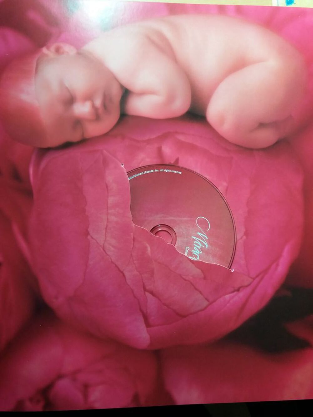 Miracle- Anne Geddes /Celine Dion -Livre, CD, DVD Livres et BD