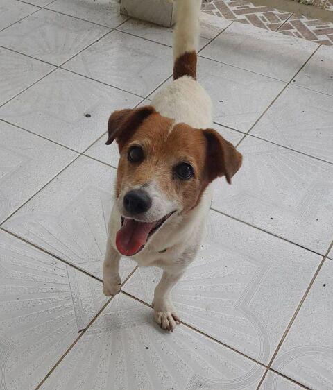 RUDY la boule d'&eacute;nergie 350 77000 Melun