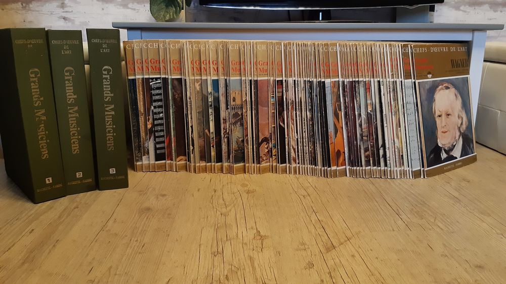 collection 75 vinyls "Grands musiciens" Audio et hifi