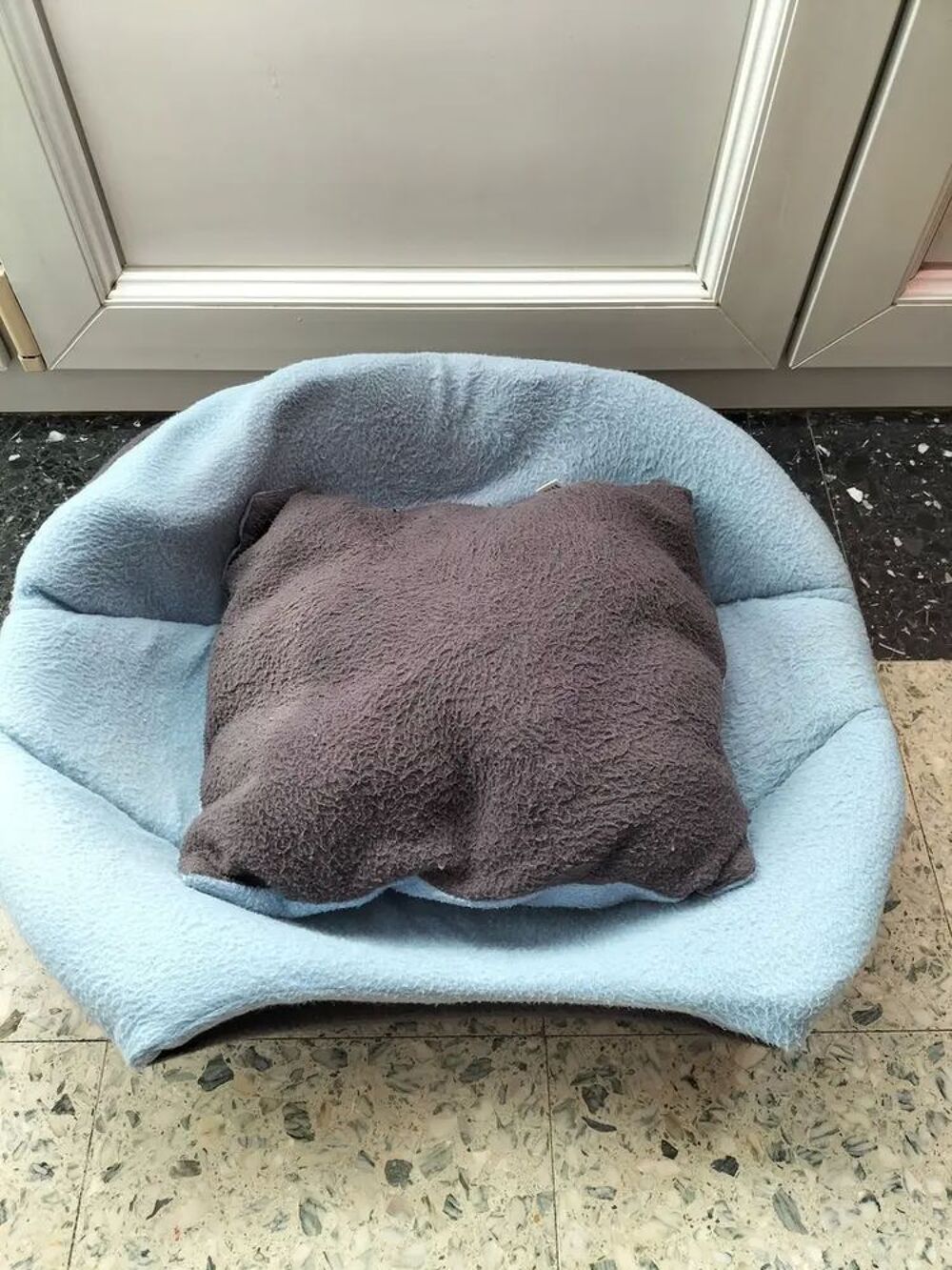 Coussin-lit pour chat convertible en d&ocirc;me Décoration
