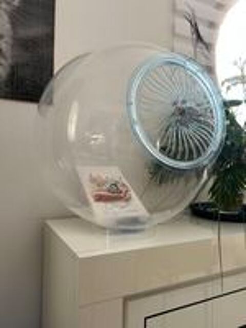   Cage bulle padda  