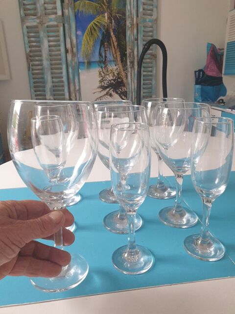 9 verres  vin ou  dessert de grande taille Tours (37)