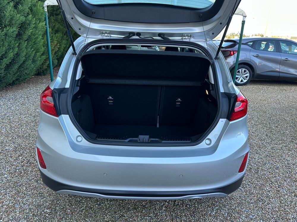 Fiesta 1.0 EcoBoost 125 ch S&S mHEV BVM6 Active X 2021 occasion 69400 Arnas