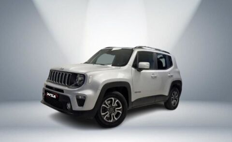 Jeep Renegade 1.6 l MultiJet 120 ch BVM6 Longitude 2019 occasion Verdun 55100