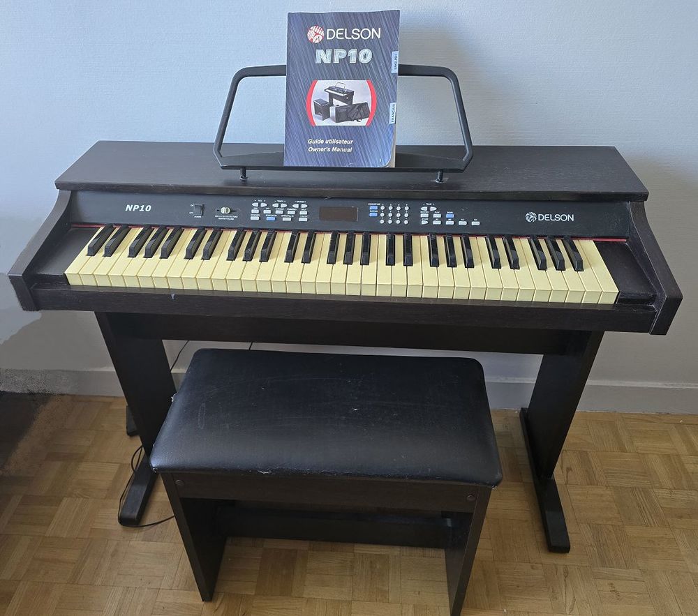 Piano Delson NP10 Instruments de musique