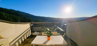  Appartement � vendre 1 pi�ce 34 m�